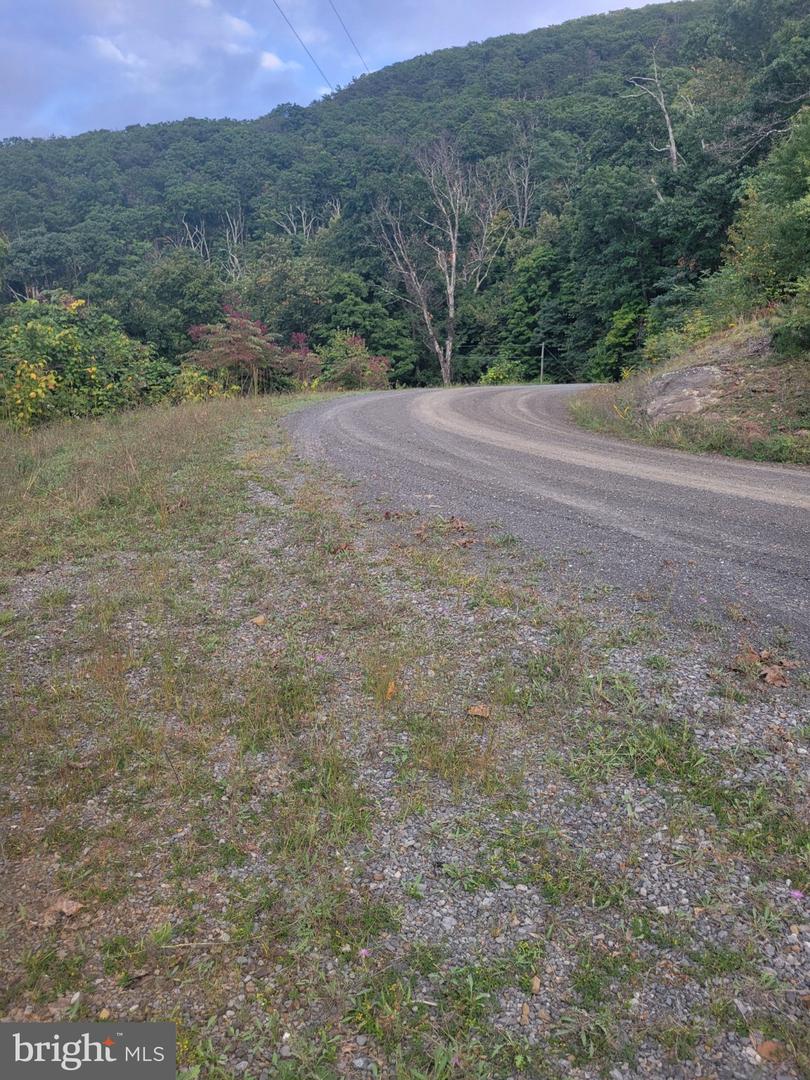 Lot 337 Nathaniel Mt Rd Property Photo 6