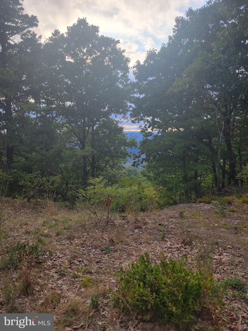 Lot 337 Nathaniel Mt Rd Property Photo 8
