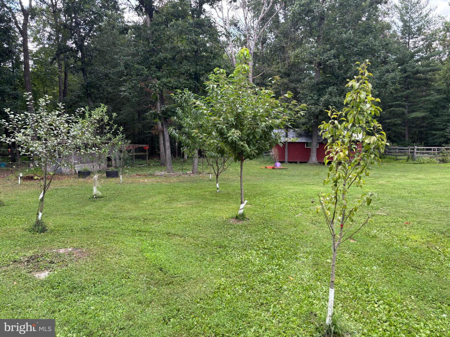 730 Grizzly Rd Property Photo 37