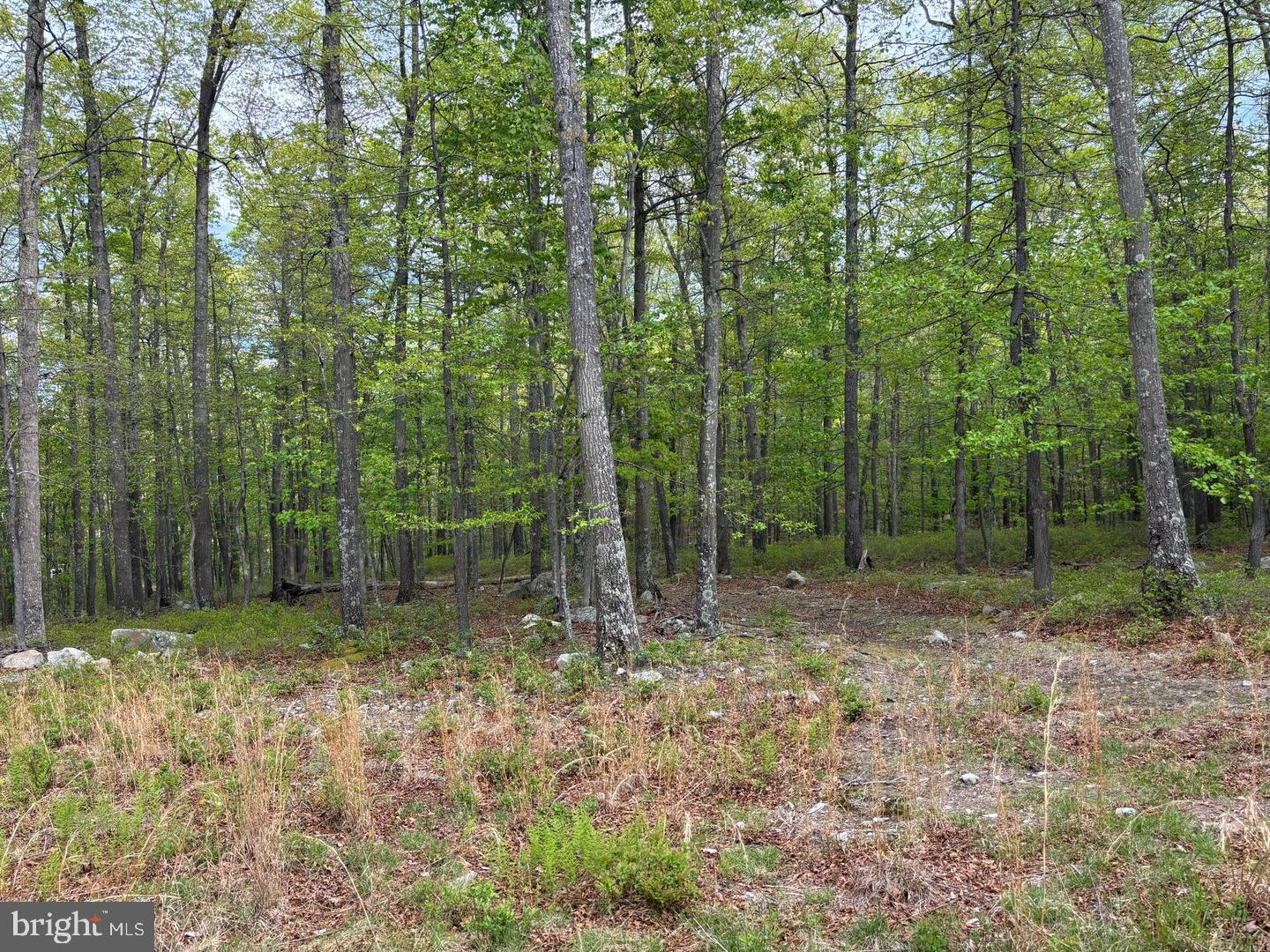 64 Trout Pass Park Road Property Photo 7