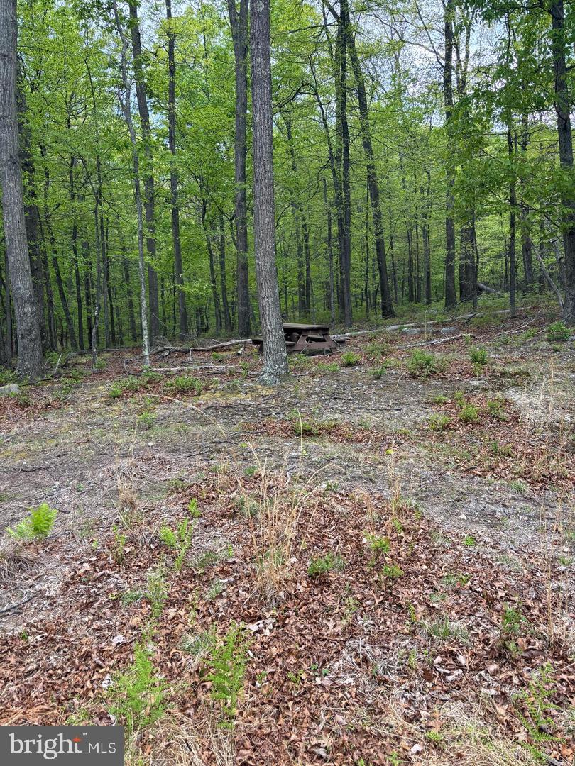 64 Trout Pass Park Road Property Photo 9