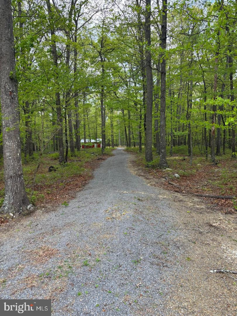 64 Trout Pass Park Road Property Photo 11