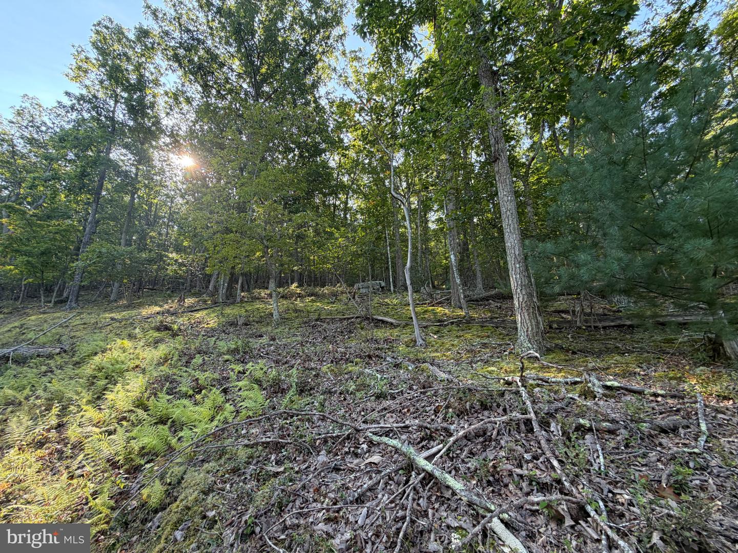 21 Lost River Bluffs Property Photo 19