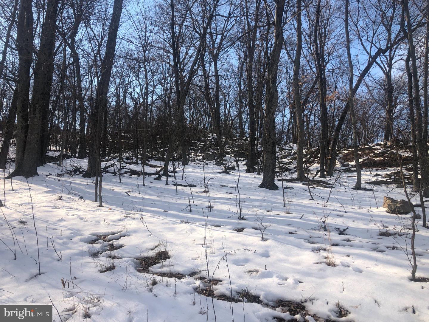 21 Lost River Bluffs Property Photo 29