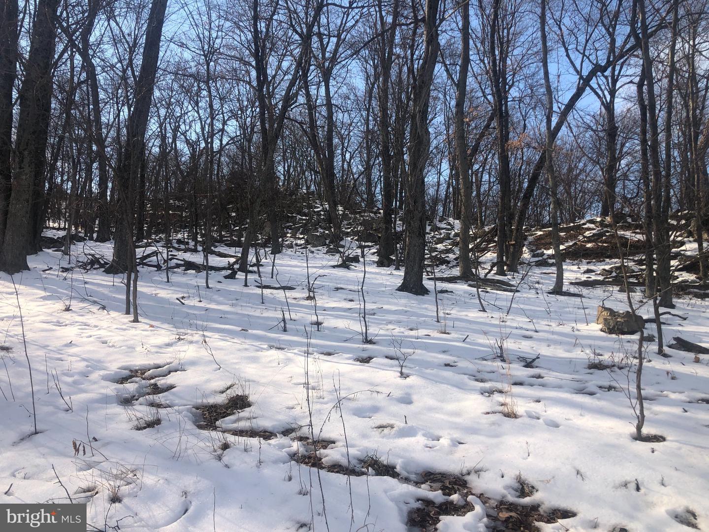 21 Lost River Bluffs Property Photo 30