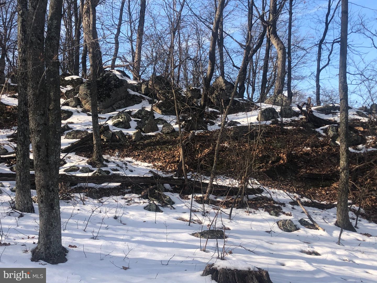 21 Lost River Bluffs Property Photo 32
