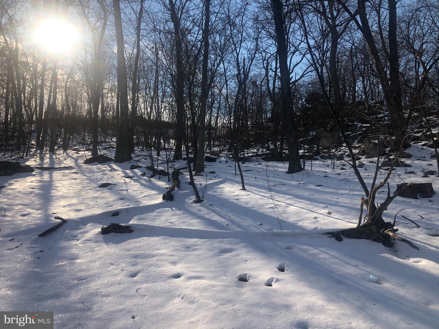 21 Lost River Bluffs Property Photo 35