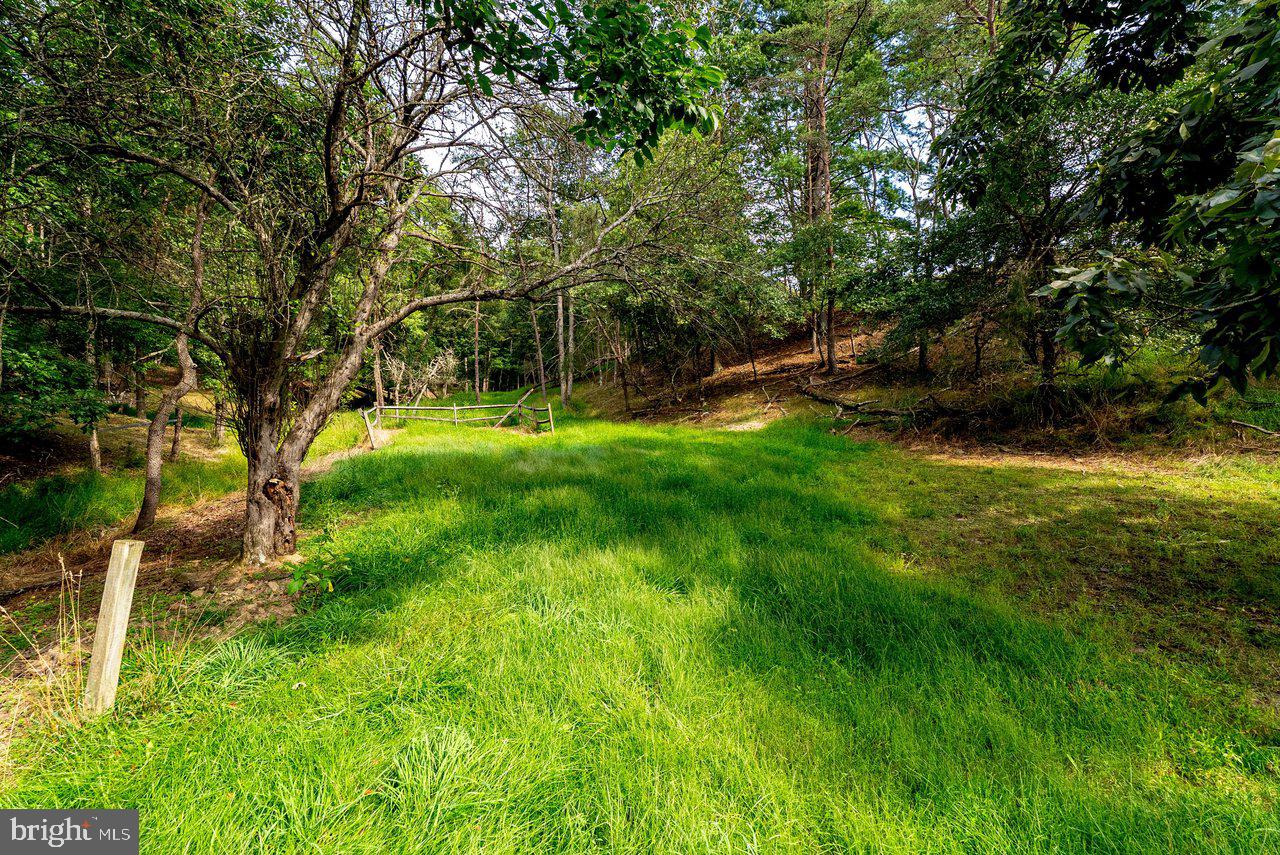 801 Moyers Ln Property Photo 142