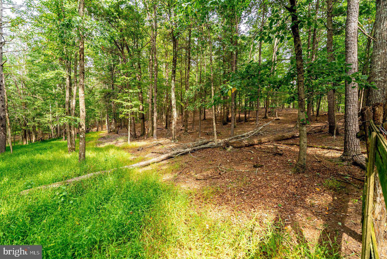 801 Moyers Ln Property Photo 143