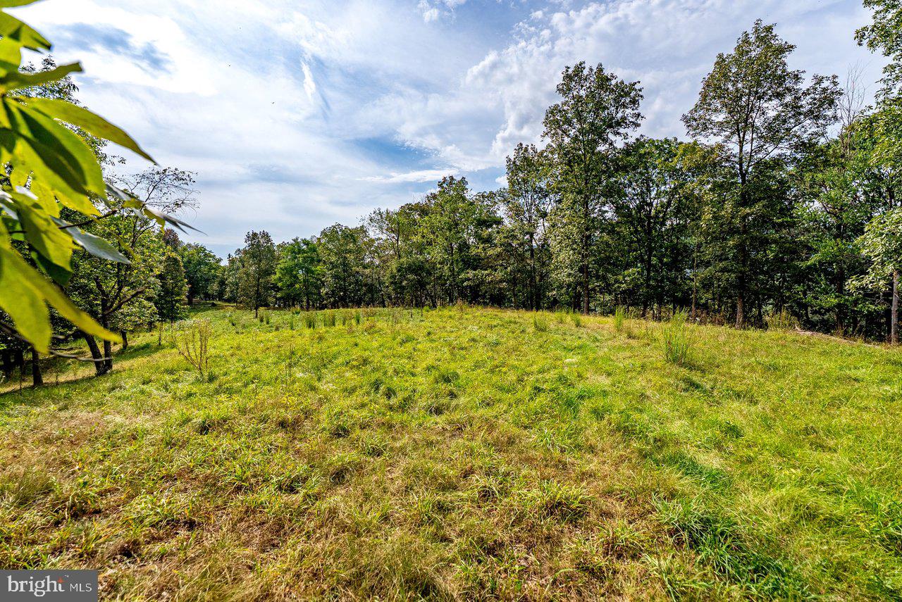 801 Moyers Ln Property Photo 148