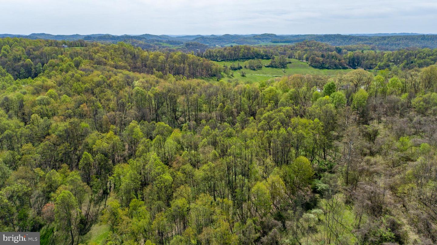 Tbd Benedum Run Rd Property Photo 14