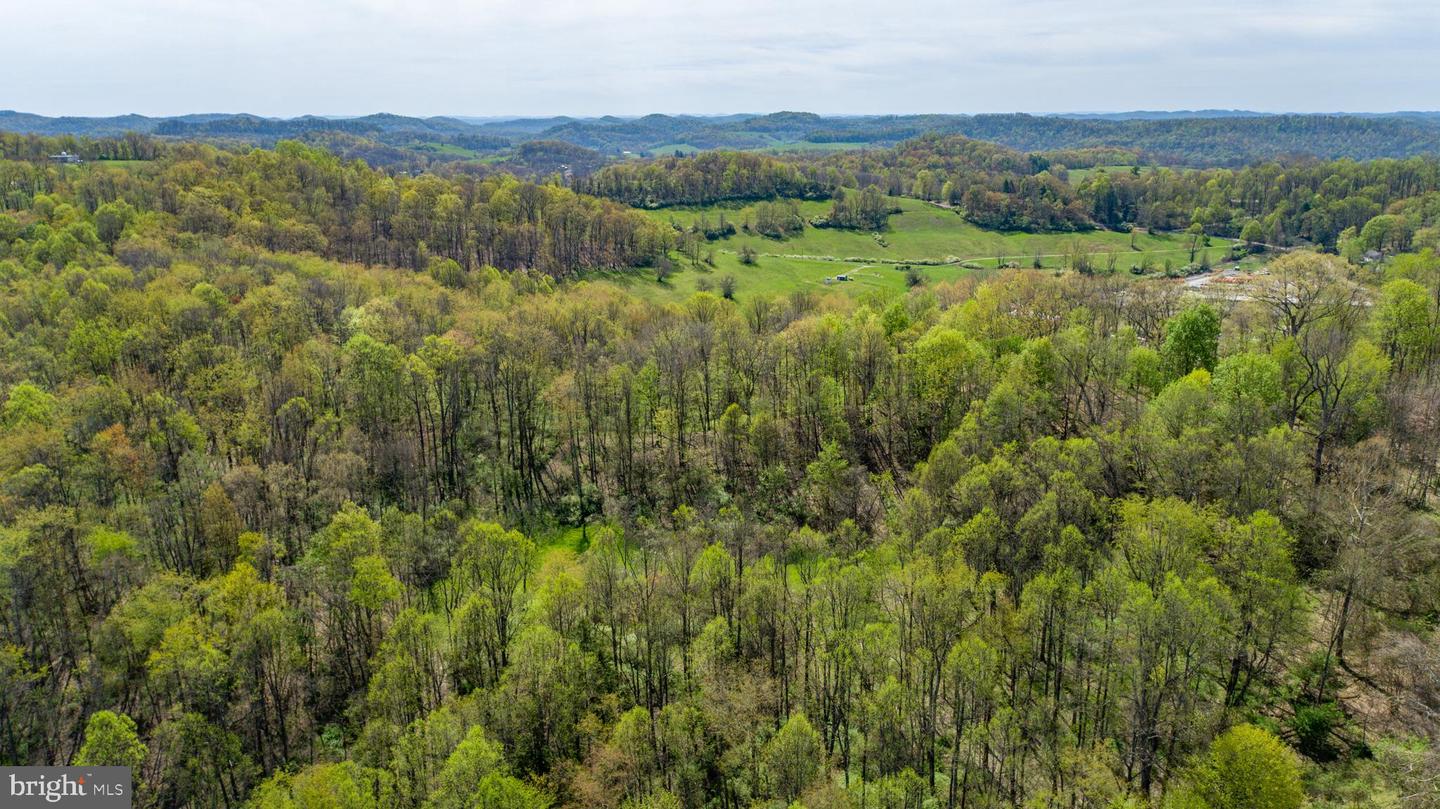 Tbd Benedum Run Rd Property Photo 15