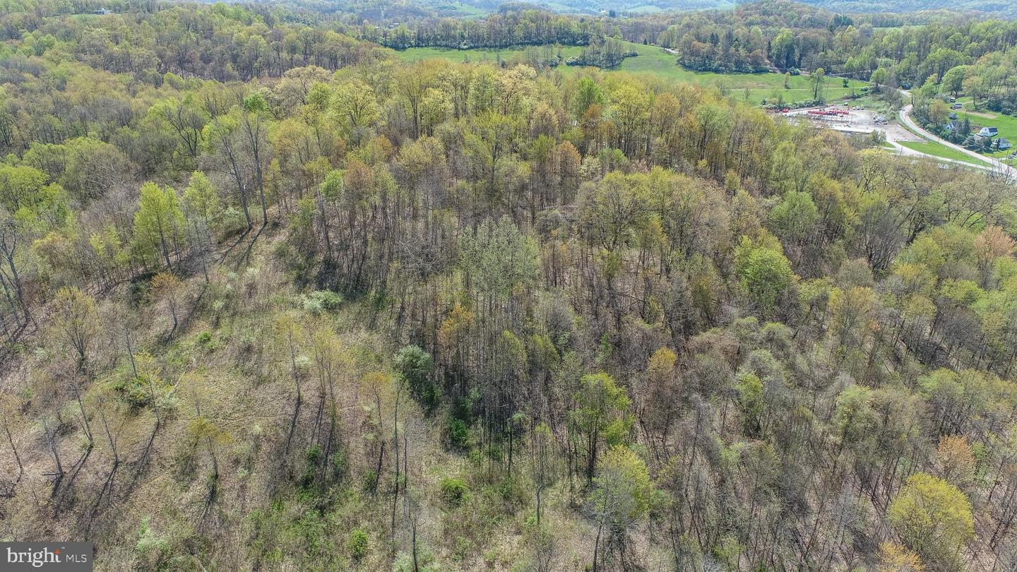 Tbd Benedum Run Rd Property Photo 22