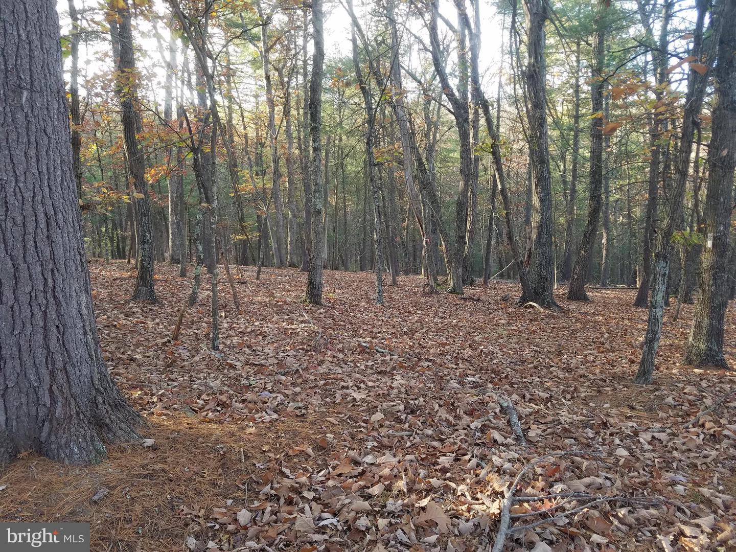 Acorn/solitude Property Photo 2