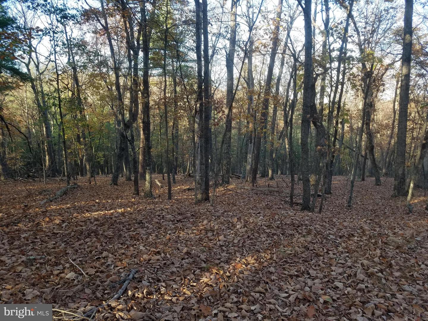 Acorn/solitude Property Photo 3