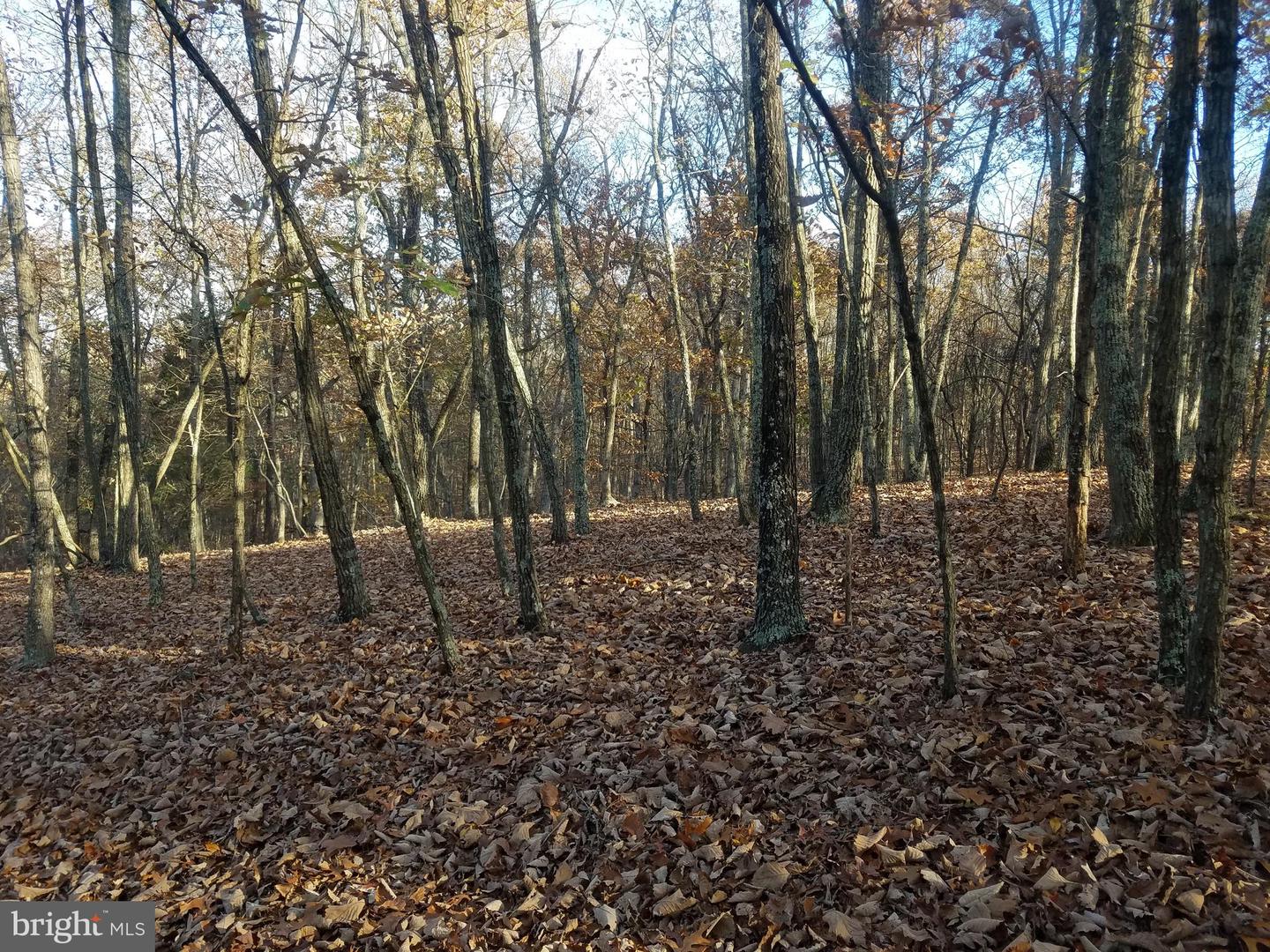 Acorn/solitude Property Photo 4
