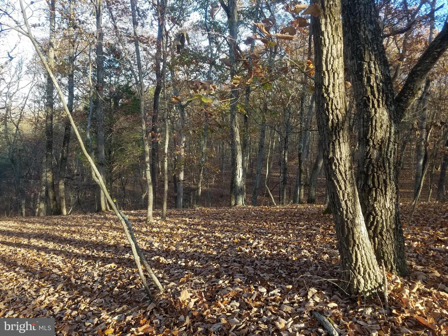 Acorn/solitude Property Photo 6