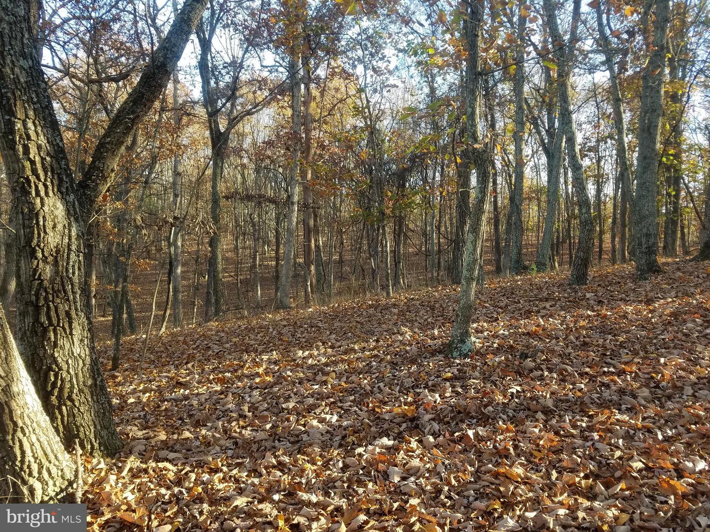Acorn/solitude Property Photo 7