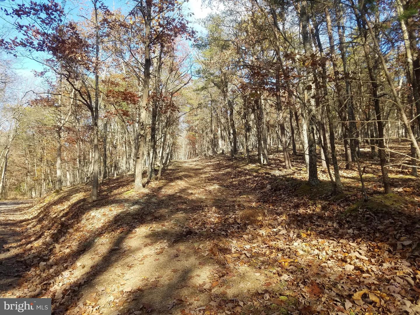 Church Hollow Rd Property Photo 2