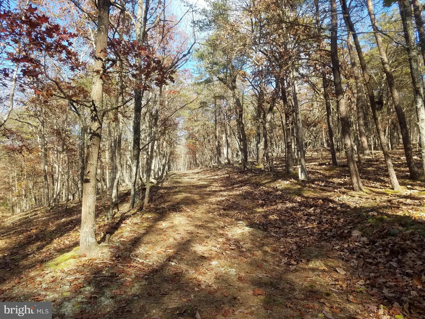 Church Hollow Rd Property Photo 3