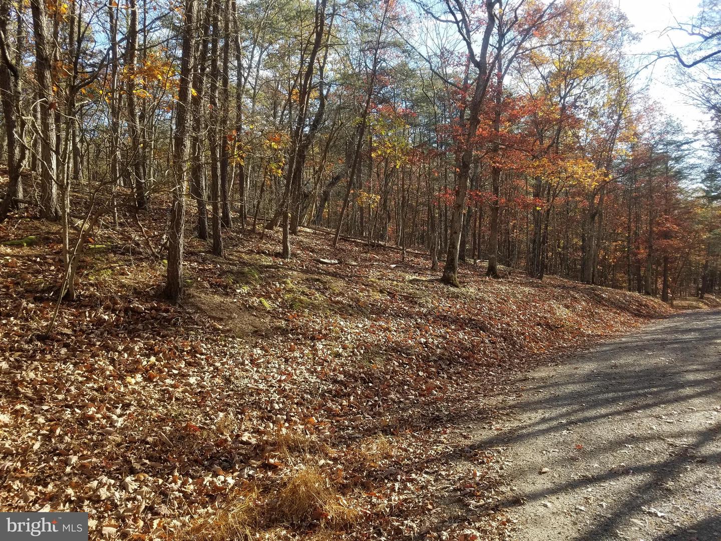 Church Hollow Rd Property Photo 4
