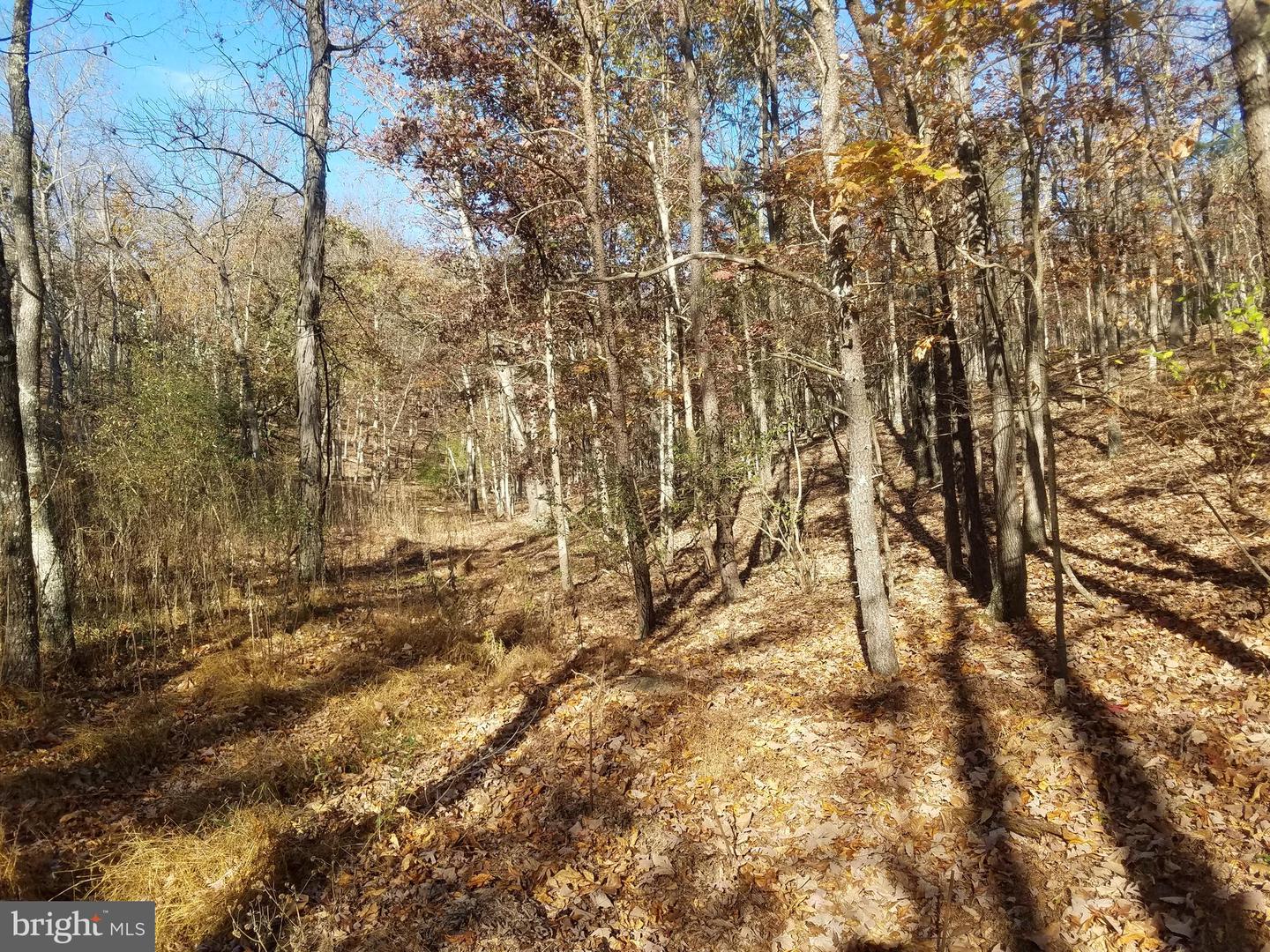 Church Hollow Rd Property Photo 5