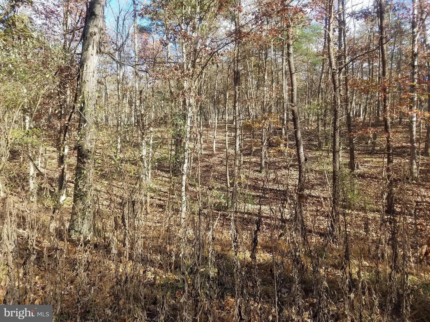 Church Hollow Rd Property Photo 6