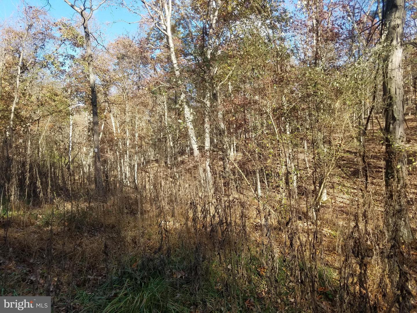 Church Hollow Rd Property Photo 7