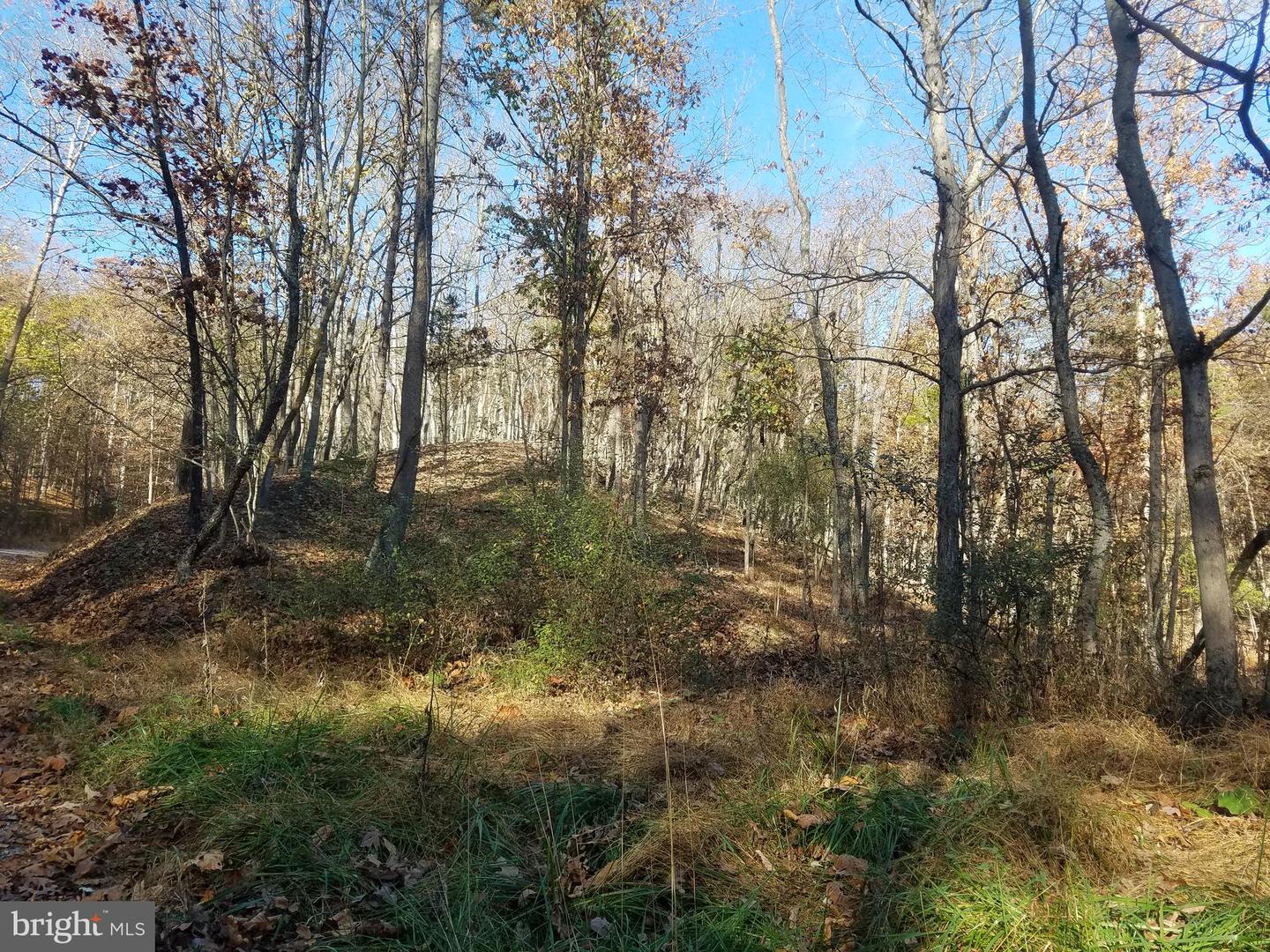 Church Hollow Rd Property Photo 8