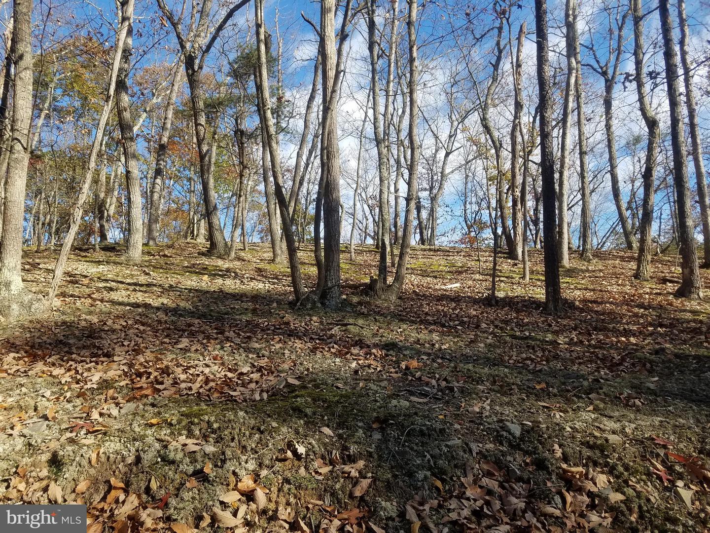Church Hollow Rd Property Photo 9