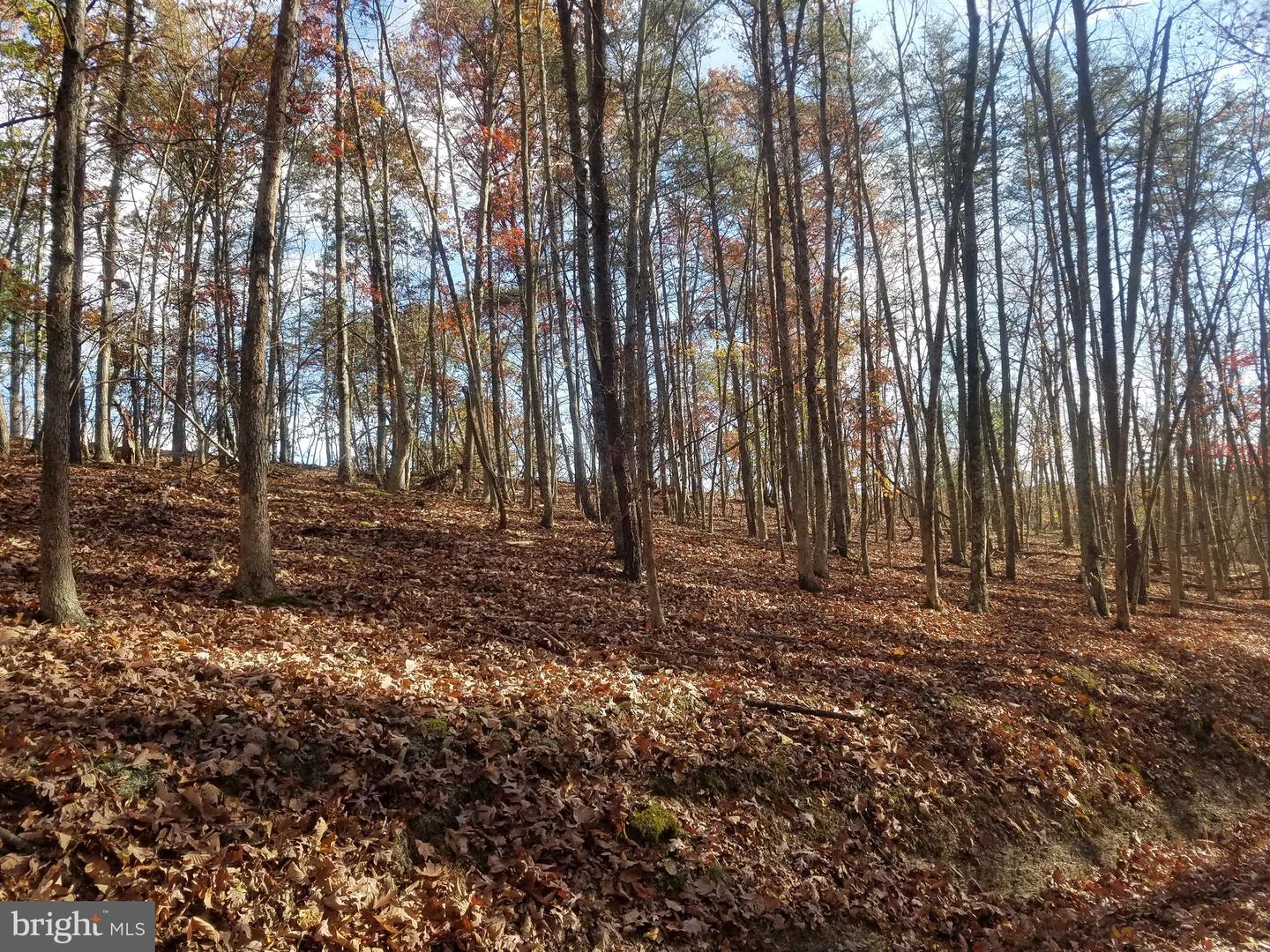 Church Hollow Rd Property Photo 10