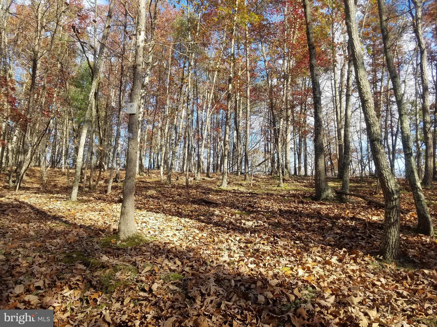 Church Hollow Rd Property Photo 11