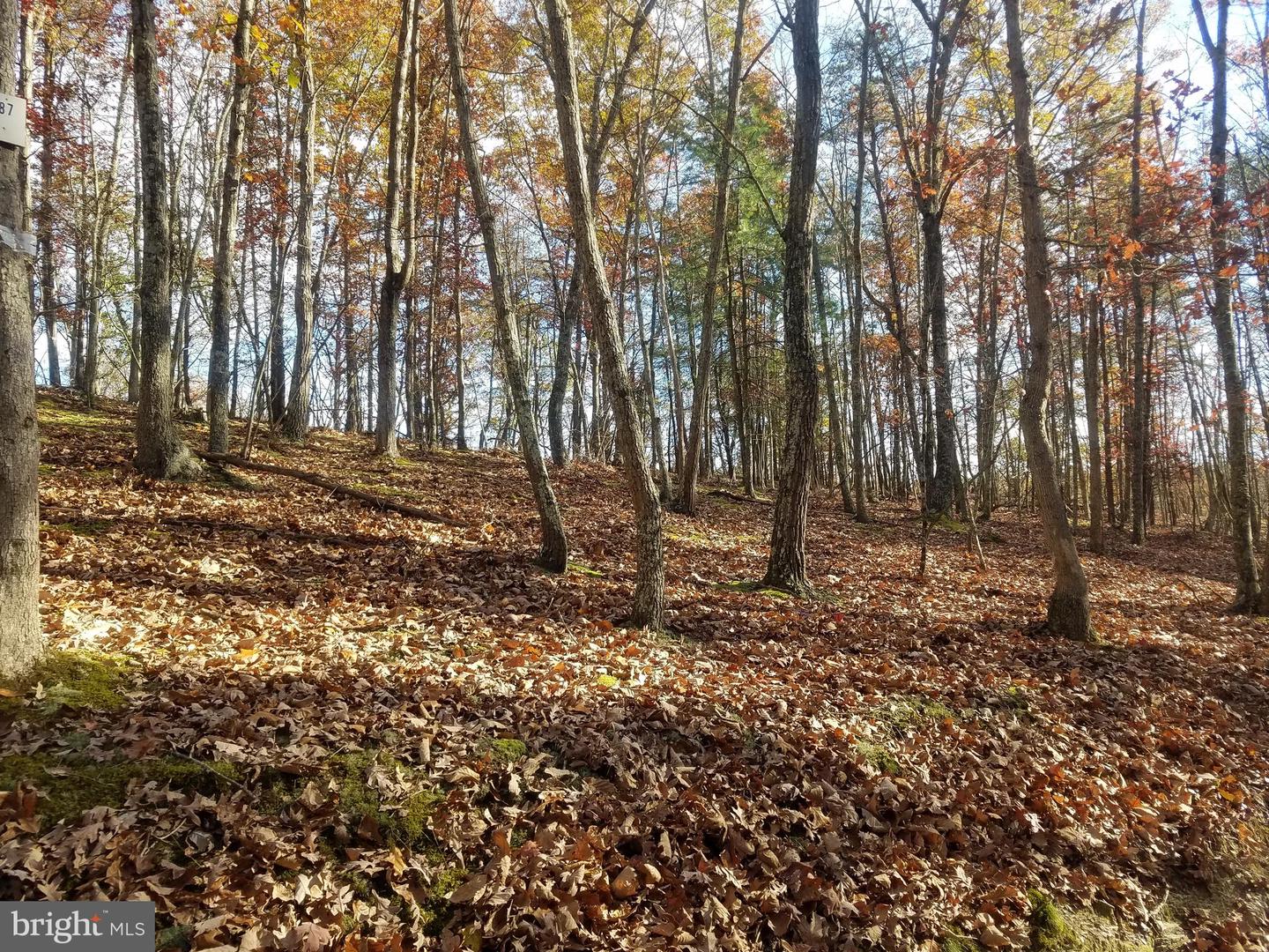 Church Hollow Rd Property Photo 12