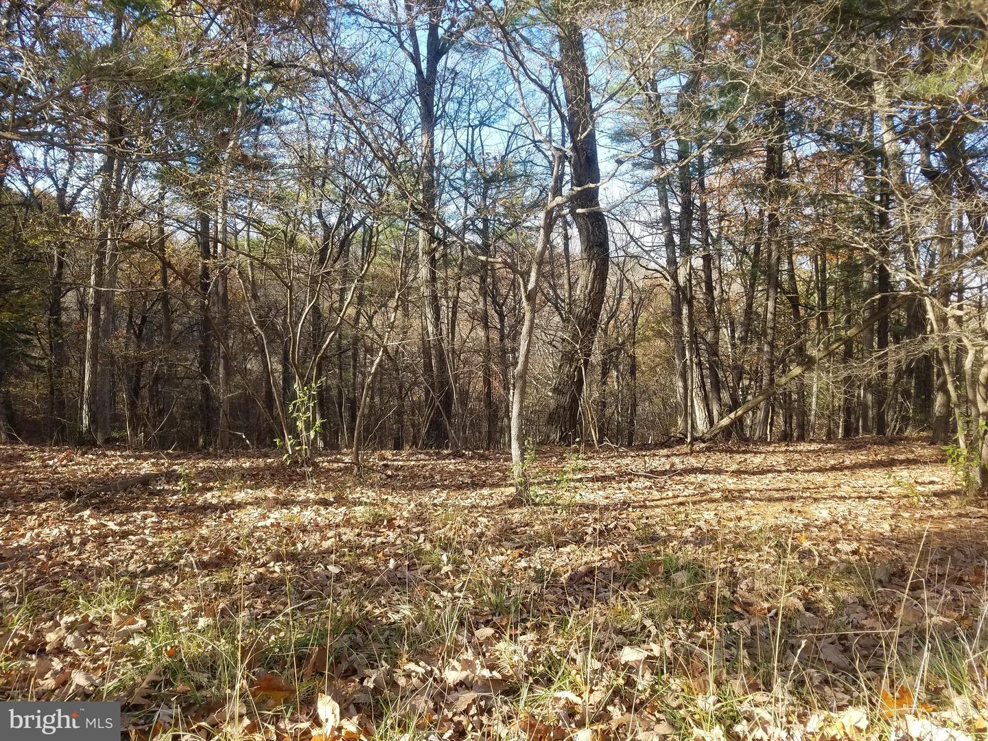 Crystal Valley Dr Property Photo 1