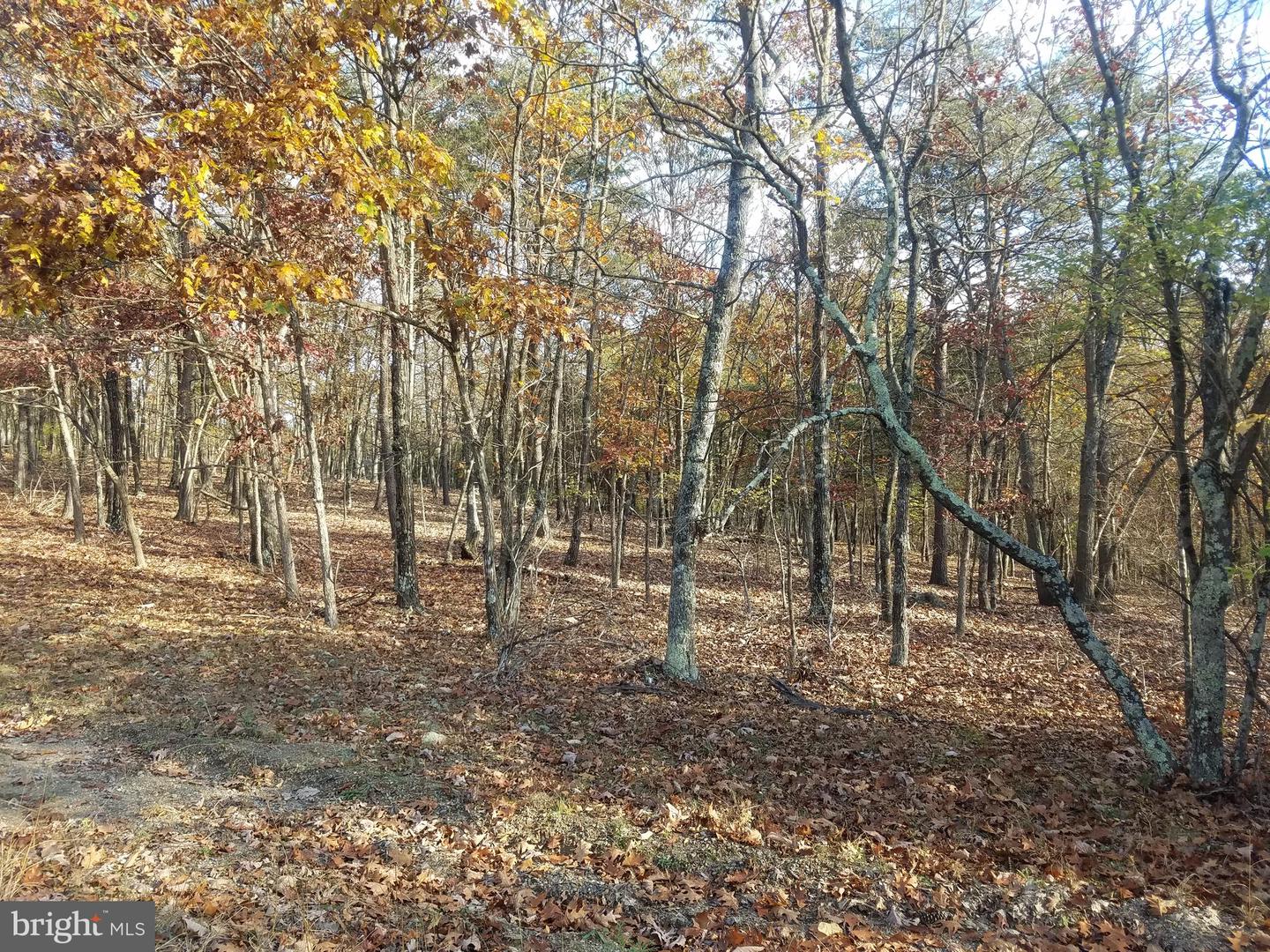 Crystal Valley Dr Property Photo 6