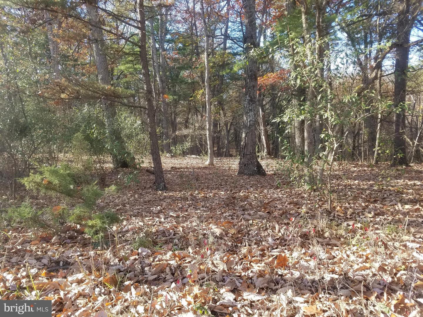 Turkey Hollow Rd Property Photo 1