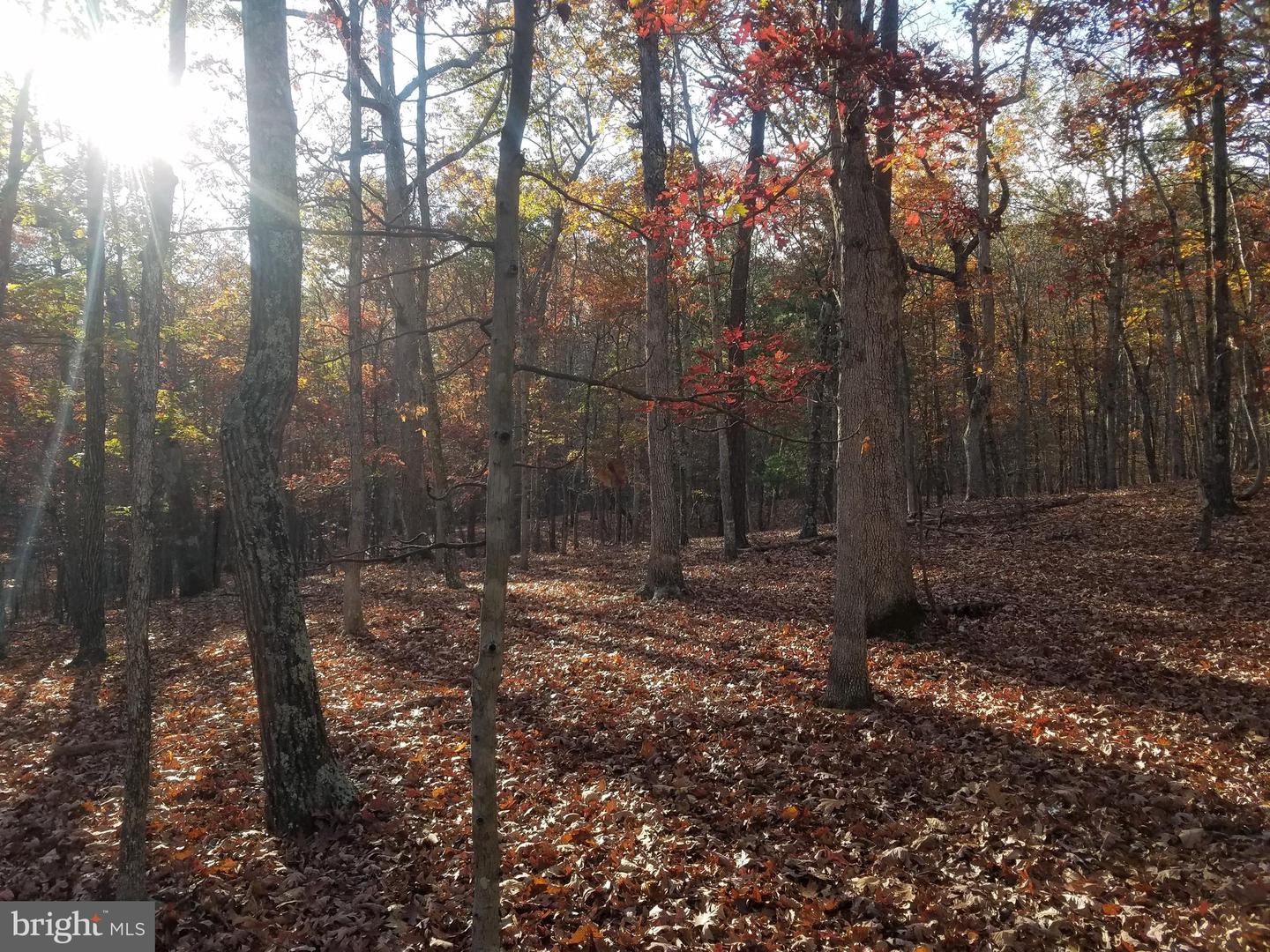 Turkey Hollow Rd Property Photo 2