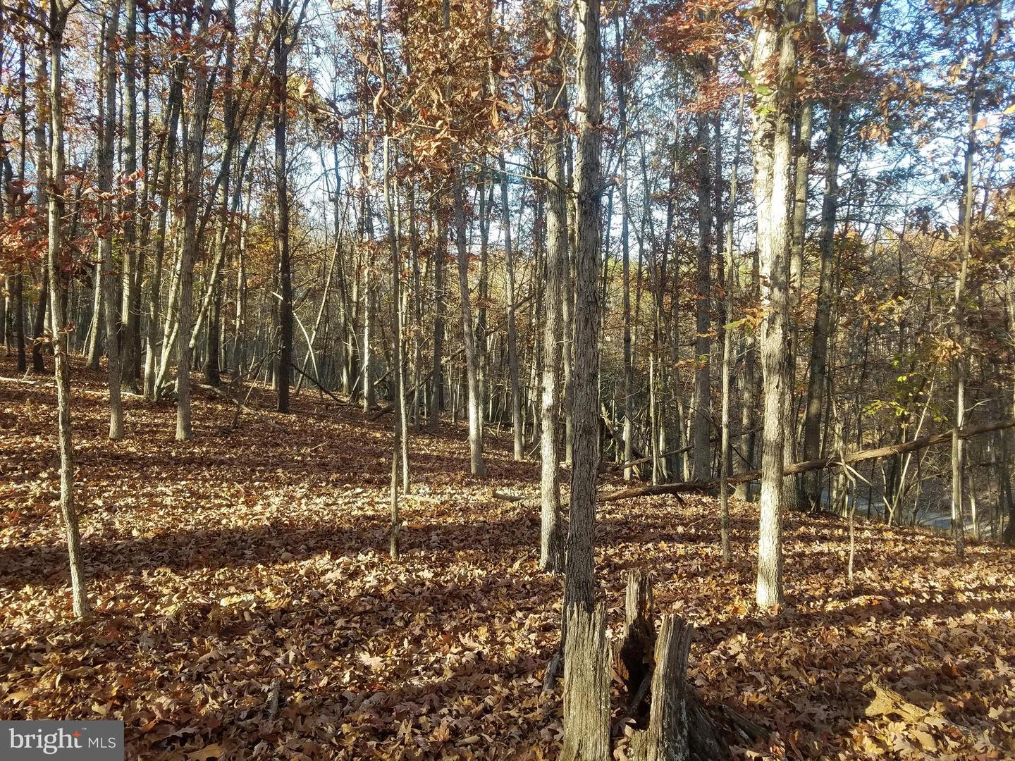 Turkey Hollow Rd Property Photo 3