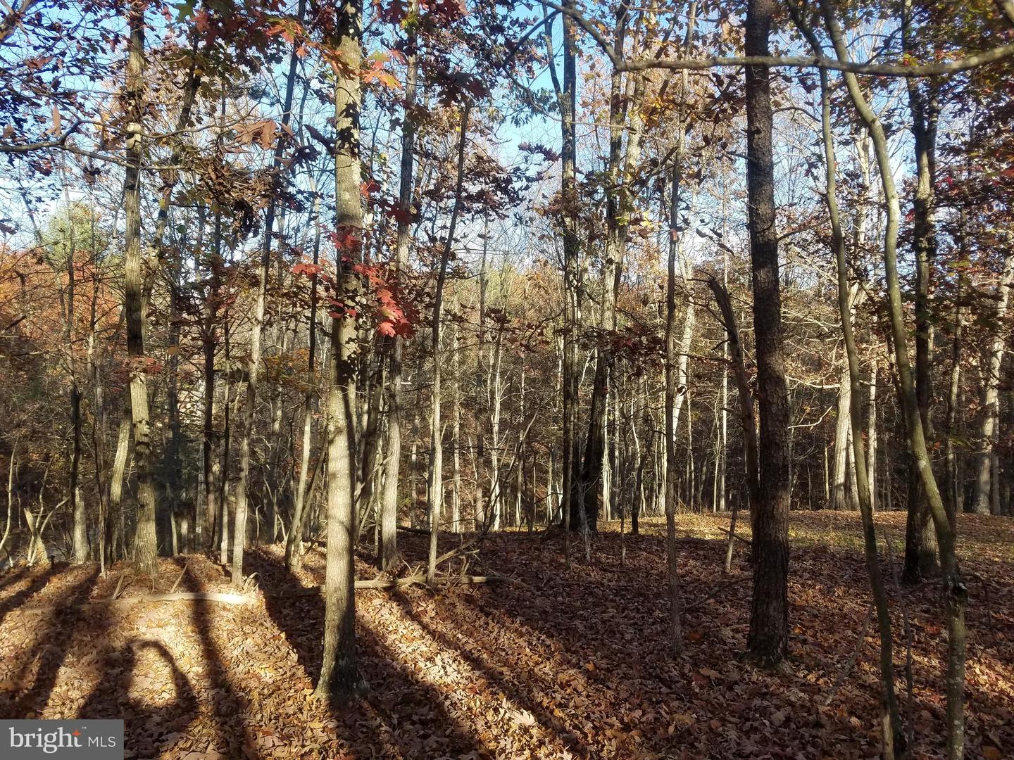 Turkey Hollow Rd Property Photo 4