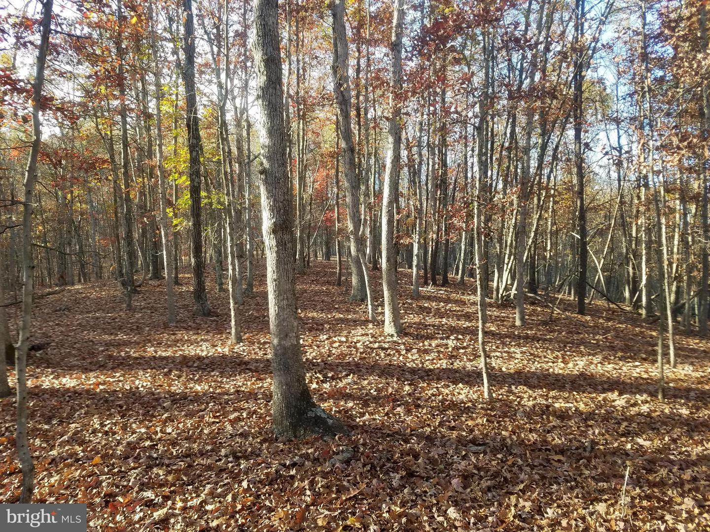 Turkey Hollow Rd Property Photo 5