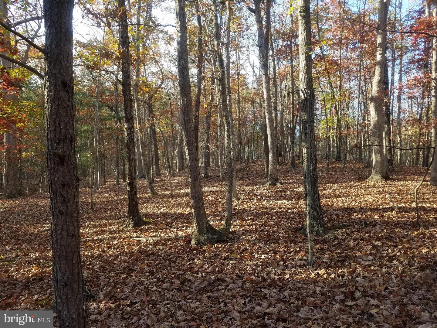 Turkey Hollow Rd Property Photo 6