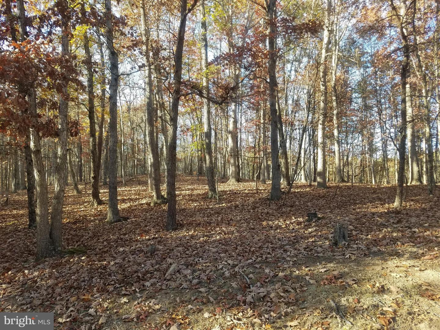 Turkey Hollow Rd Property Photo 7