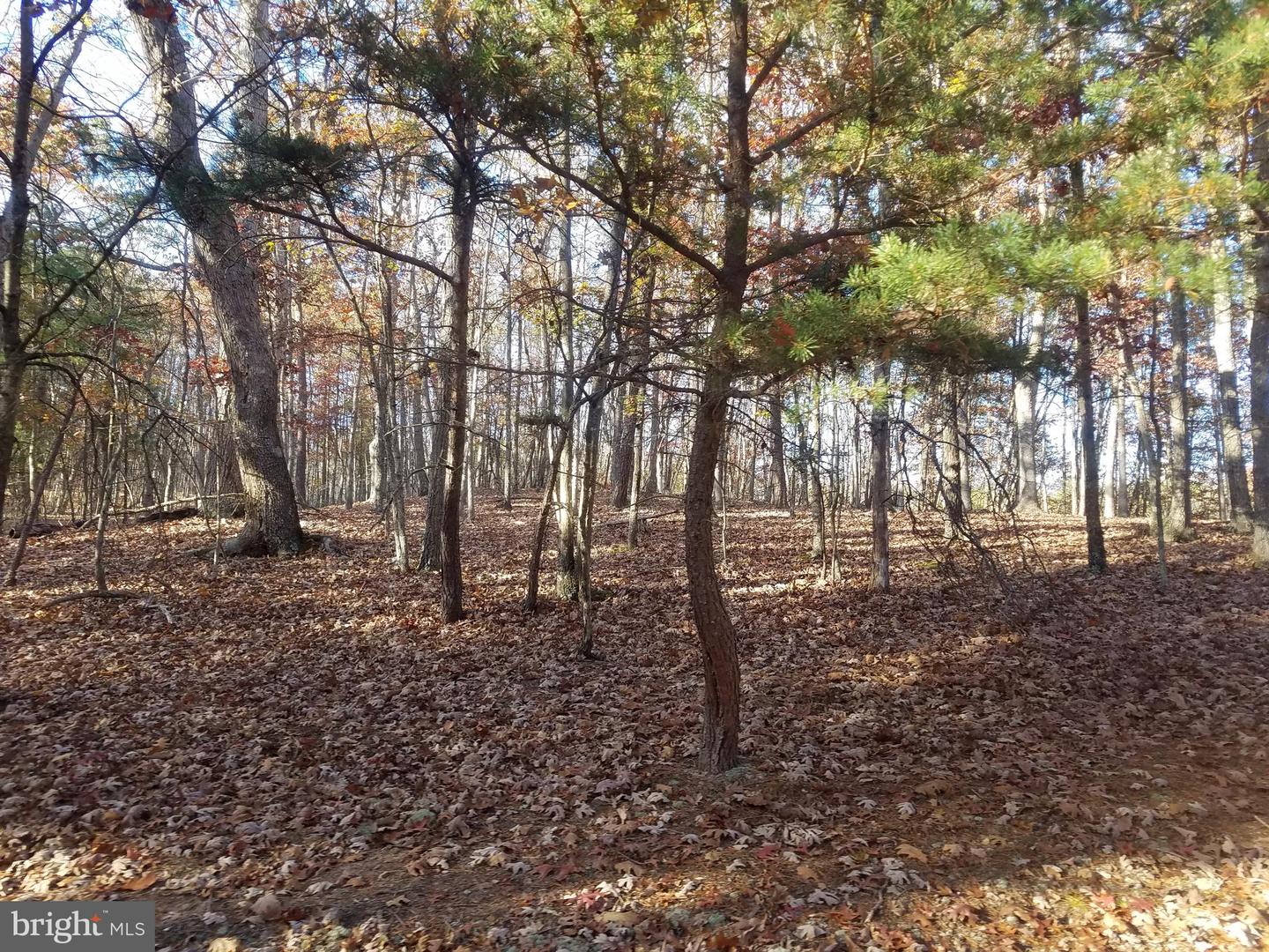 Turkey Hollow Rd Property Photo 8