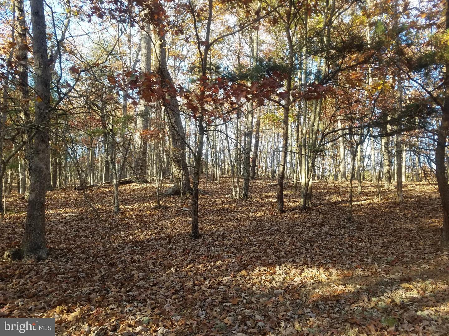 Turkey Hollow Rd Property Photo 9