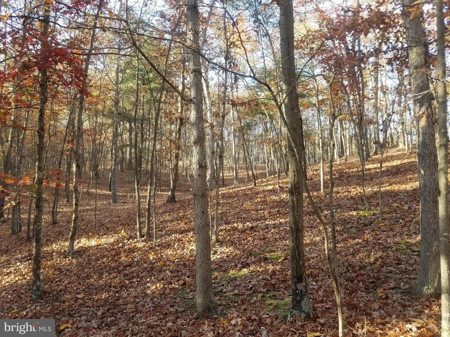 Turkey Hollow Rd Property Photo 10