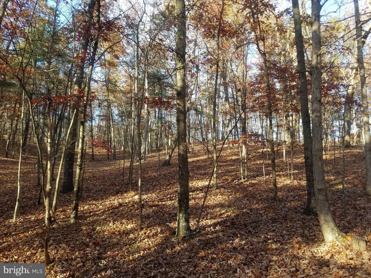 Turkey Hollow Rd Property Photo 11