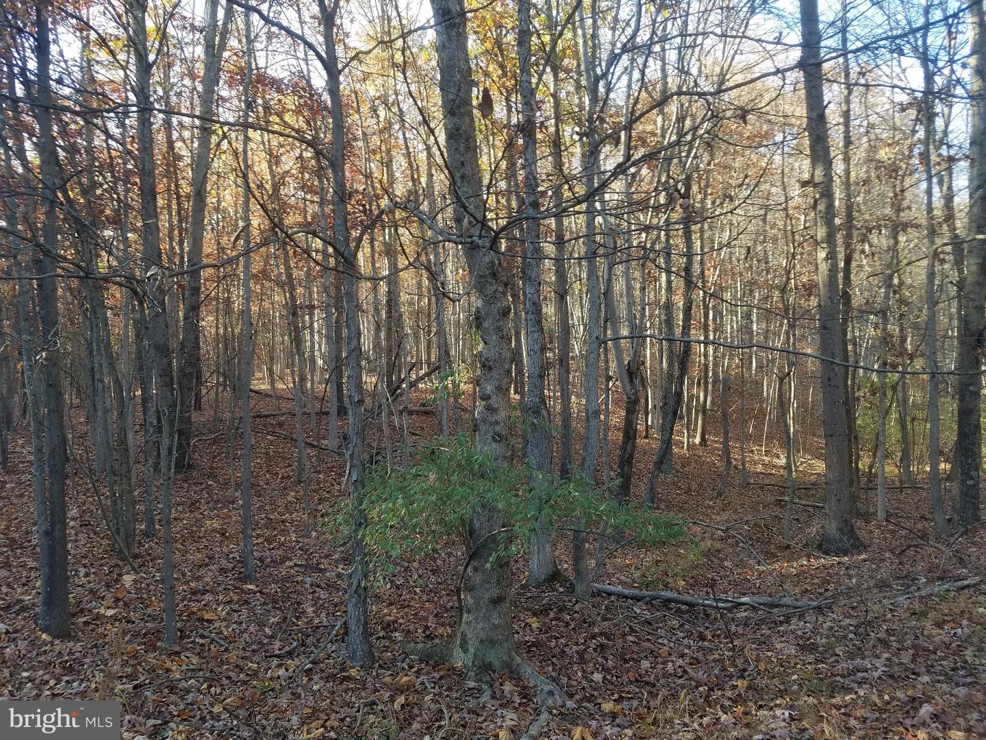Turkey Hollow Rd Property Photo 12