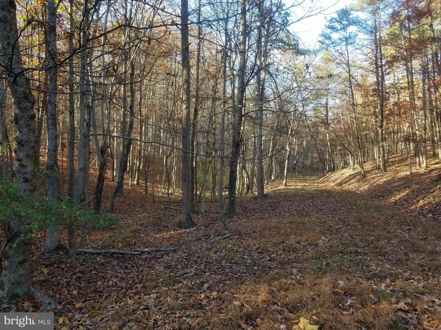 Turkey Hollow Rd Property Photo 13