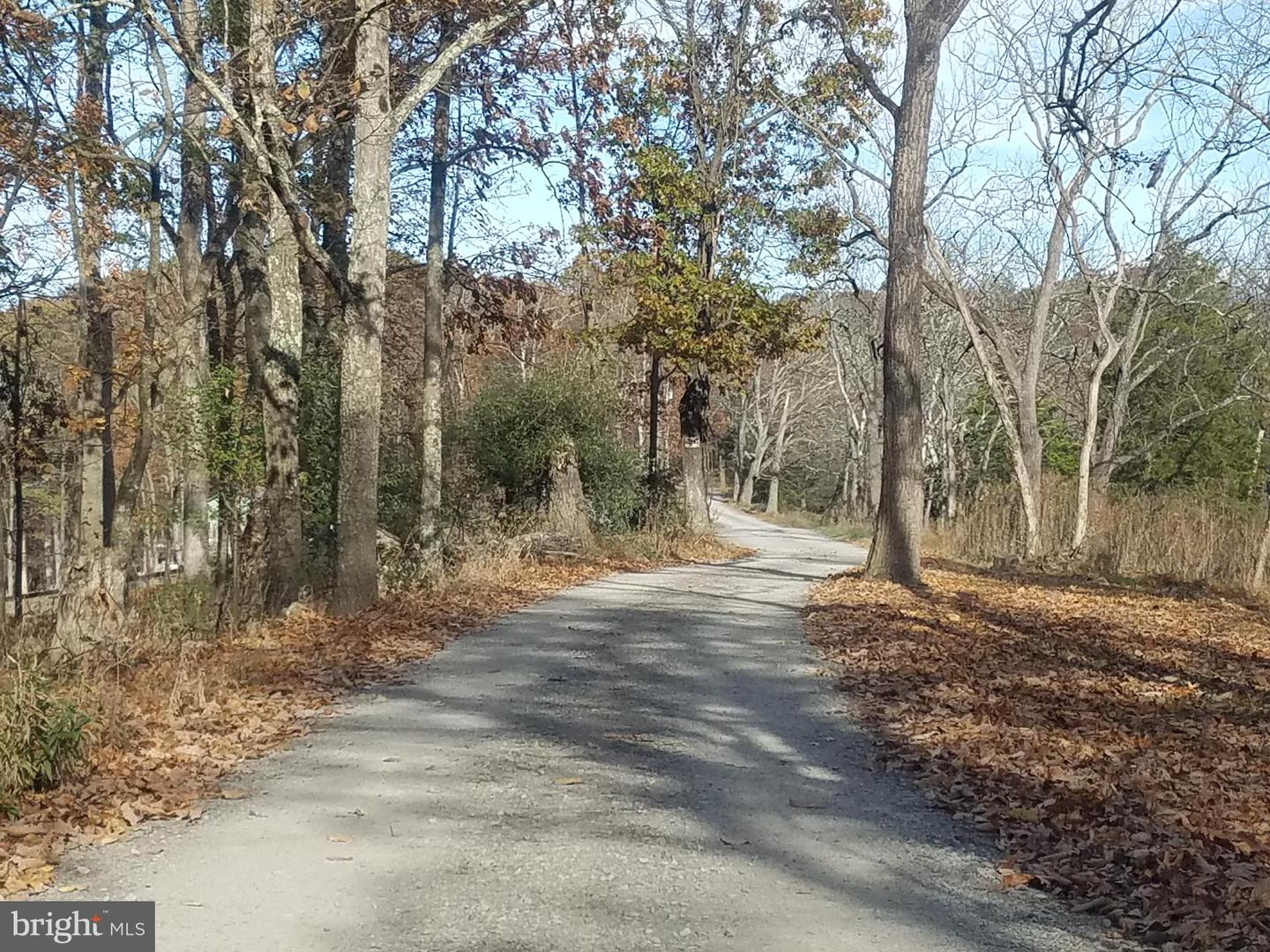 Turkey Hollow Rd Property Photo 15