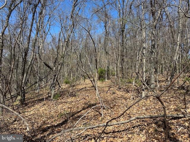 Lot 28 Pear Ln Property Photo 1